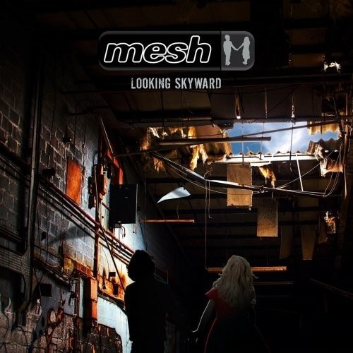 Mesh - Looking Skyward vinyl record cover