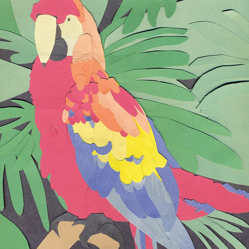Algernon Cadwallader - Parrot Flies vinyl record cover