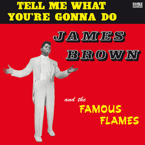 James Brown - Tell Me What You're Gonna Do vinyl record cover