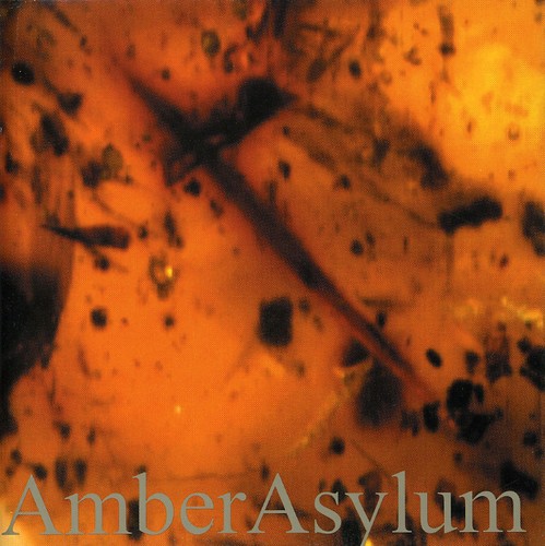 Amber Asylum - Frozen in Amber