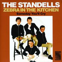 Zebra In The Kitchen/Someday You'll Cry