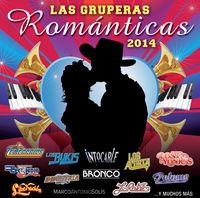 Gruperas Romanticas 2014 Vol 2 / Various