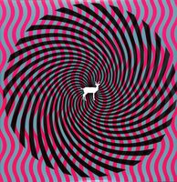 Cryptograms/Flourescent Grey