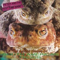 Mating Sounds of South American Frogs