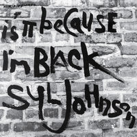 Is It Because I'm Black (Blk)