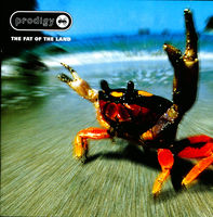 The Prodigy - Fat Of The Land [LP]