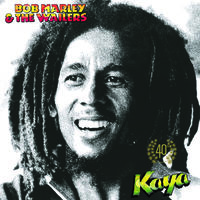 Bob Marley & The Wailers - Kaya 40 [2LP]