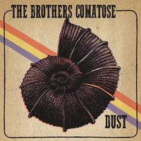 Dust (10in)