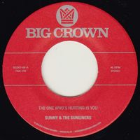 The One Who's Hurting You Is / Should I Take You Home