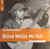 Rough Guide To Blind Willie Mctell