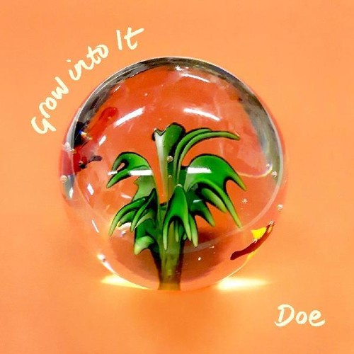 Doe - Grow Into It vinyl record cover