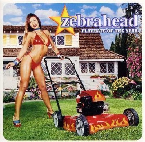 Zebrahead - Playmate of the Year vinyl record cover