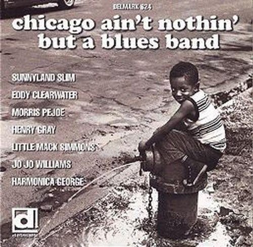 Chicago Aint Nothin But A B - Chicago Ain't Nothin But a Blues Band / Various
