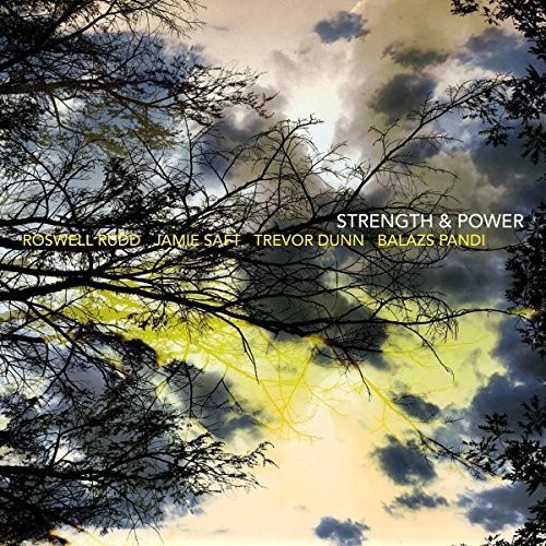 Roswell Rudd / Saft,Jamie / Dunn,Trevor / Pandi - Strength & Power vinyl record cover