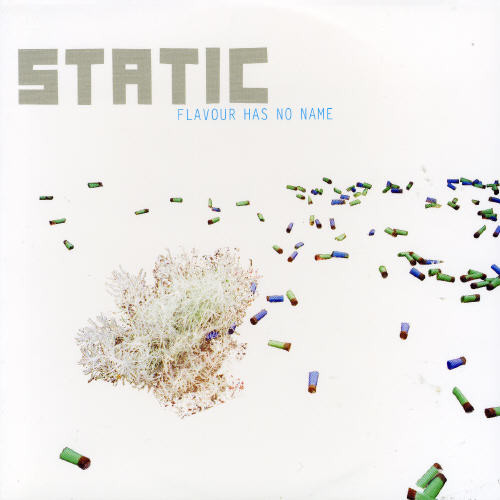 Static - Flavour Has No Name vinyl record cover