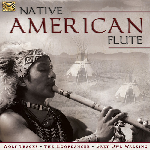 Native American Flute / Various Uk - Native American Flute vinyl record cover
