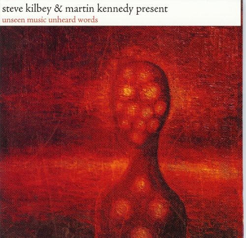 Steve Kilbey & Martin Kennedy - Unseen Music/Unheard Words vinyl record cover
