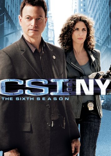 CSI: Crime Scene Investigation [TV Series] - CSI NY: The Sixth Season