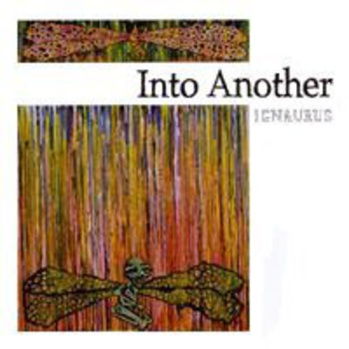 Into Another - Ignaurus vinyl record cover