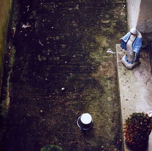 Harm Starts Here