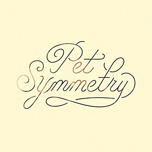 Pet Symmetry - Vision vinyl record cover