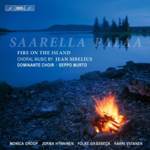 Seppo Murto - Fire on the Island vinyl record cover