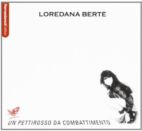 Un Pettirosso Da Combattimen