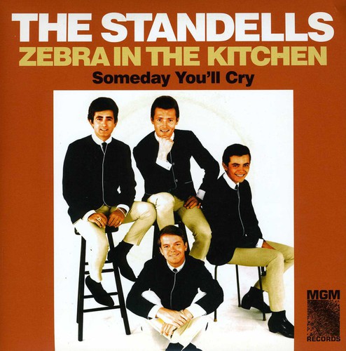 The Standells - Zebra In The Kitchen/Someday You'll Cry vinyl record cover