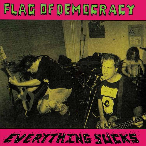 Flag Of Democracy - Everything Sucks vinyl record cover
