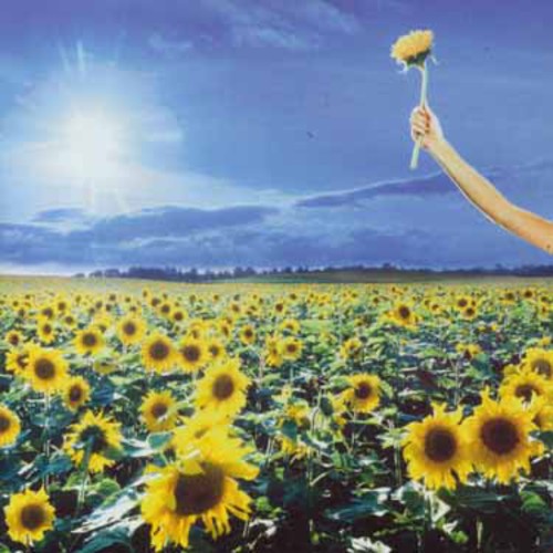 Stone Temple Pilots - Greatest Hits [Import]