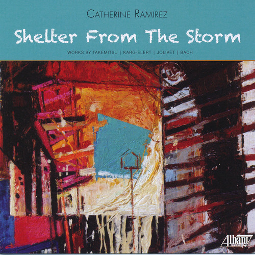 Shelter from the Shelter