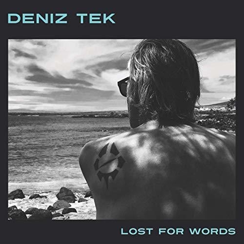 Deniz Tek - Lost for Words vinyl record cover