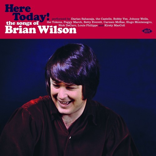 Here Today! Songs Of Brian Wilson / Various Uk - Here Today! Songs Of Brian Wilson / Various vinyl record cover
