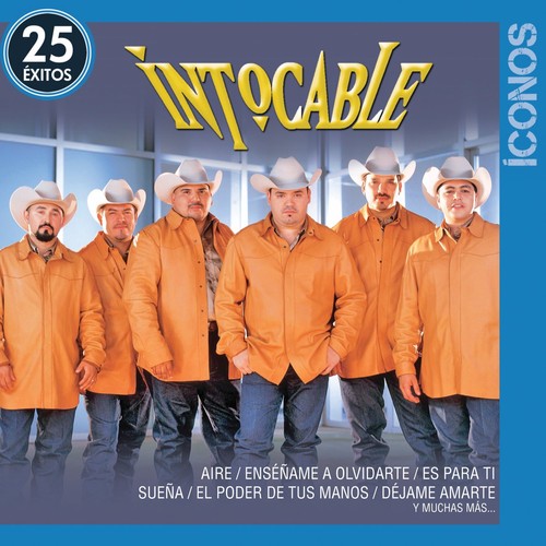 Iconos