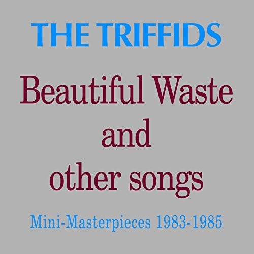 Beautiful Waste & Other Songs: Mini Masterpieces