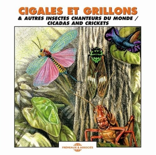 NATURAL ATMOSPHERES - Cicadas and Crickets