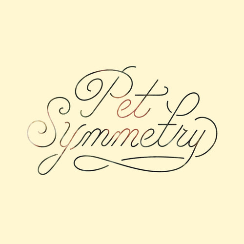 Pet Symmetry - Vision vinyl record cover