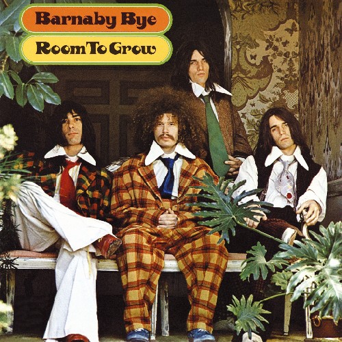 Barnaby Bye - Room to Grow