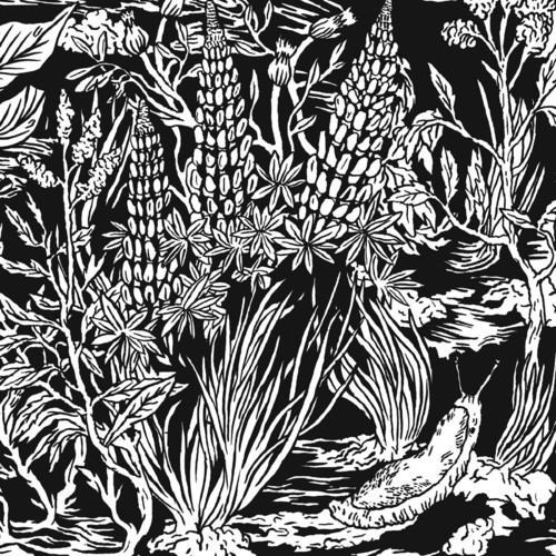 Eternal Tapestry - Wild Strawberries vinyl record cover