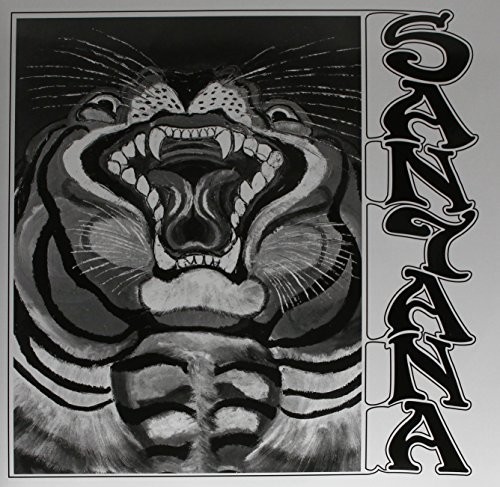 Tiger's Head
