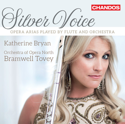 Bramwell Tovey - Silver Voice vinyl record cover
