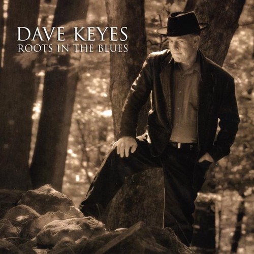 Dave Keyes - Roots in the Blues vinyl record cover