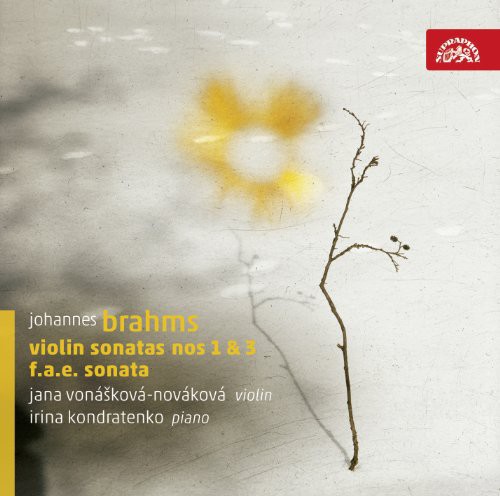 Brahms / Dietrich / Schumann / Vonaskova - Violin Sonatas vinyl record cover
