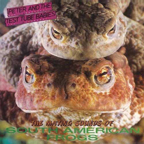 Mating Sounds of South American Frogs