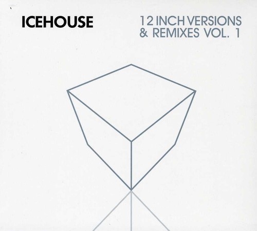 12 Inch Versions & Remixes Vol. 1