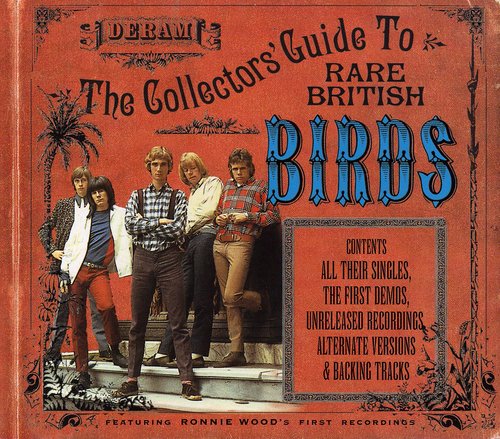 Collector's Guide To Rare British Birds
