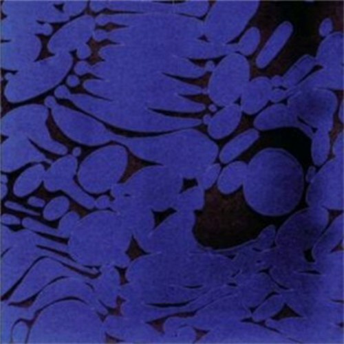 Larry Gus - Years Not Living vinyl record cover