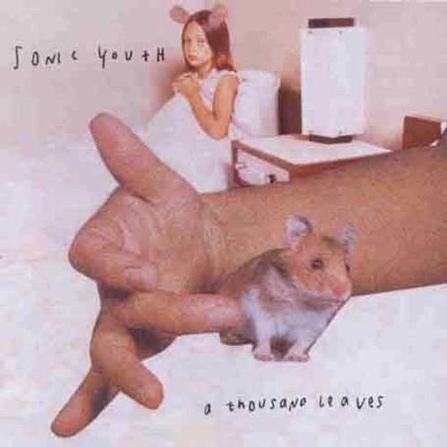 Sonic Youth - Thousand Leaves vinyl record cover