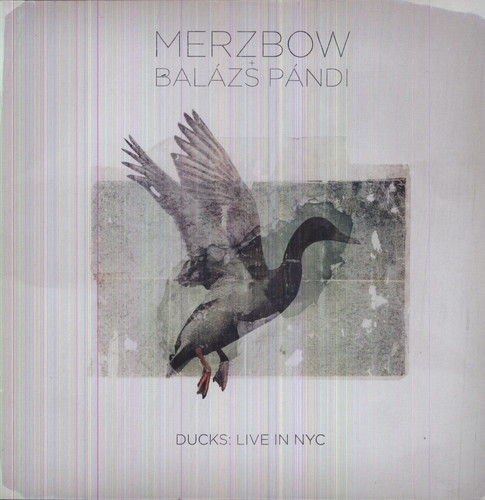 Ducks: Live in NYC