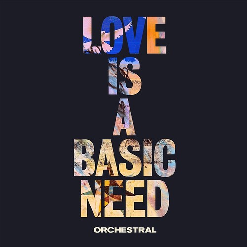 Embrace - Love Is A Basic Need (Orchestral) vinyl record cover